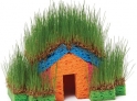 grass house