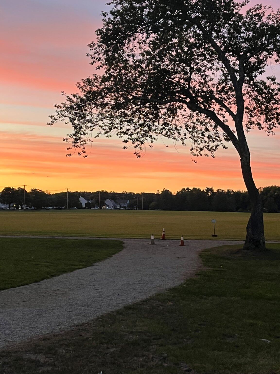 Early days of the greenhouse