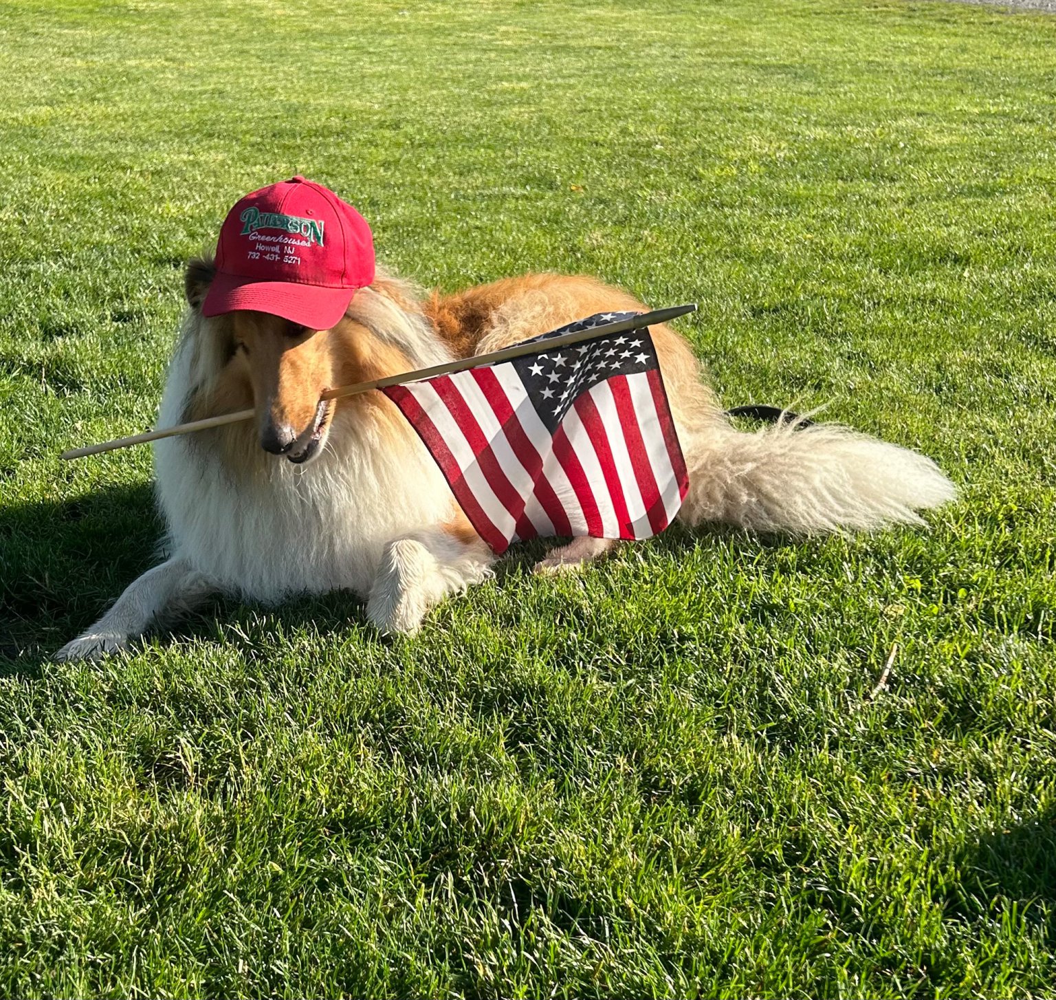 Vintage tractor on the farm
